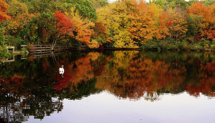 Autumn's Peacefulness Photograph by Karen Silvestri - Fine Art America