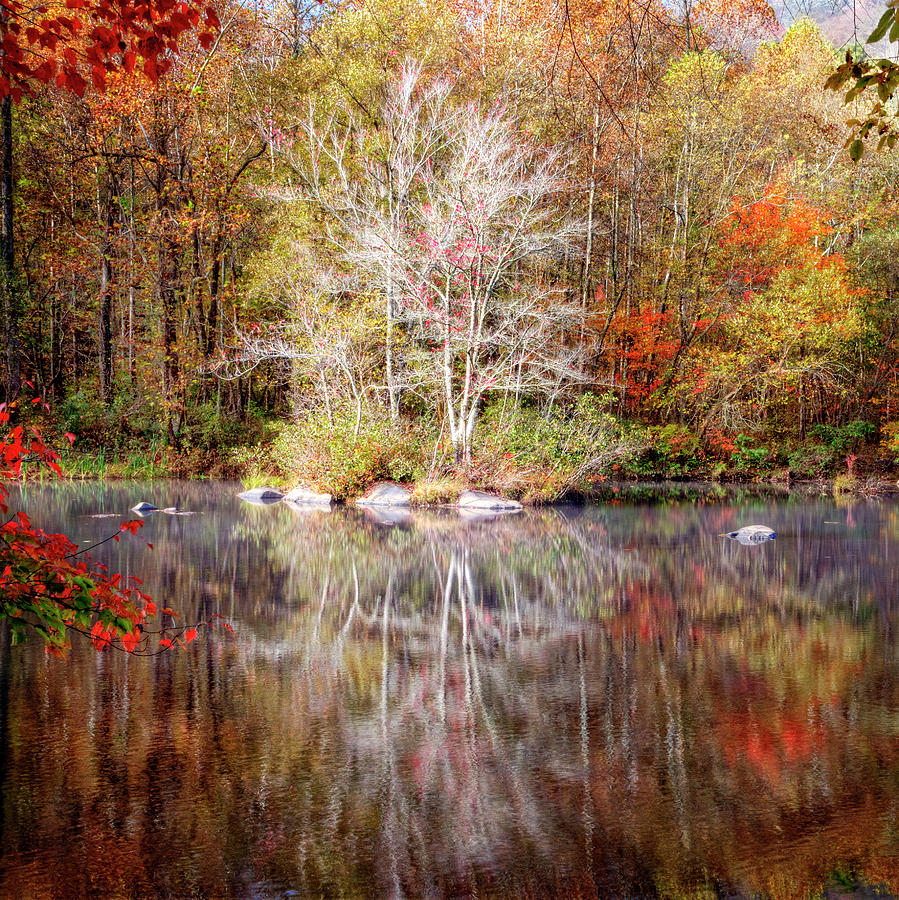 Autumns Peak in Square Photograph by Debra and Dave Vanderlaan