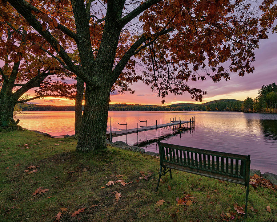 Autumns View Photograph by Darylann Leonard Photography