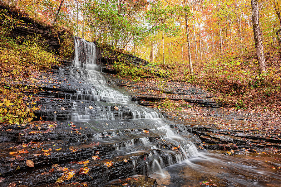 Autums Leaves and Waterfalls Photograph by Jordan Hill