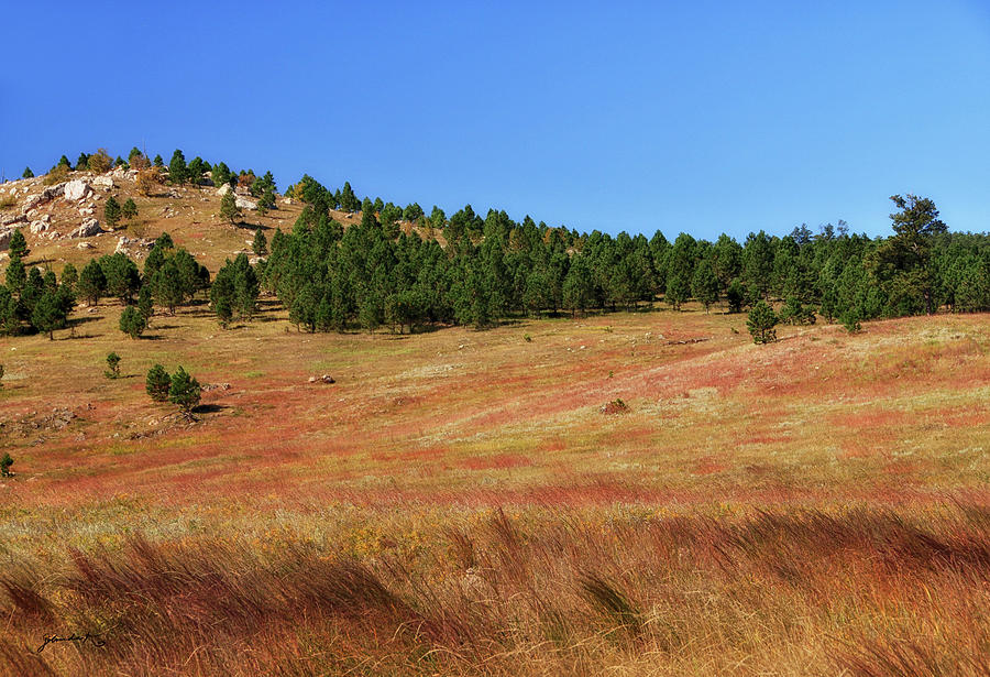 Autunm Custer State Park South Dakota United States of America Photograph by Gerlinde Keating