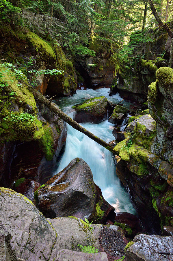 Avalanche Creek Falls 5 Photograph by Roger Snyder