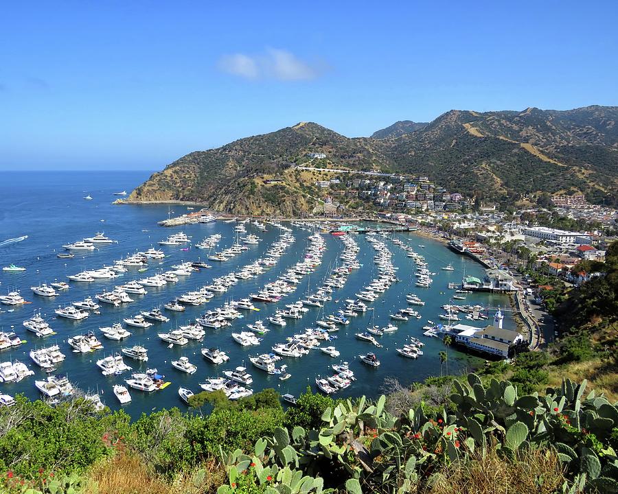 Avalon Bay Photograph by Connor Beekman