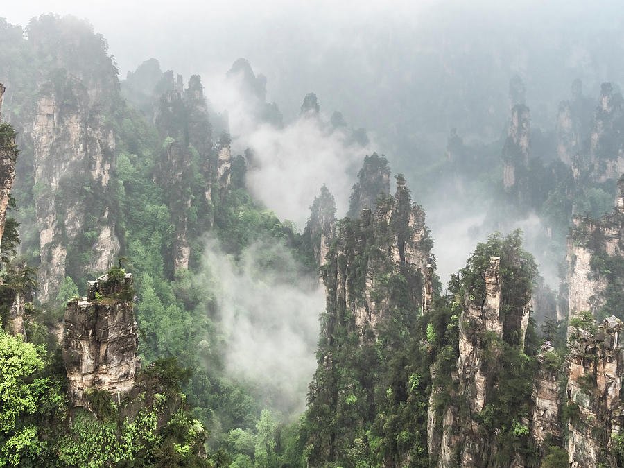 Avatar mountain,china Photograph by Usha Peddamatham