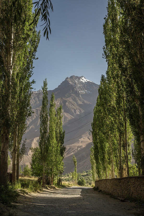 Avenue In The Wakhan In Pamir, Tajikistan, Asia Photograph by Priska Seisenbacher