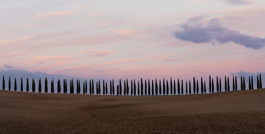 Avenue Of Cypress Trees In Tuscany At Sunset, Italy Photograph by Bastian Linder