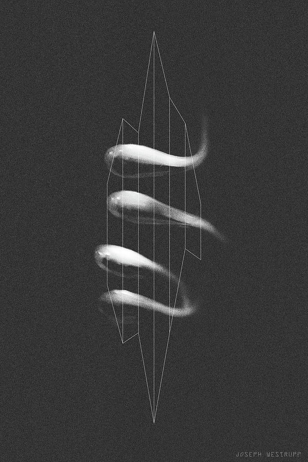 Avidity - Abstract Geometric Line Art Photograph by Joseph Westrupp