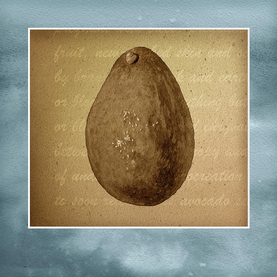 Avocado Painting - Avocado In Three 01 by Kory Fluckiger