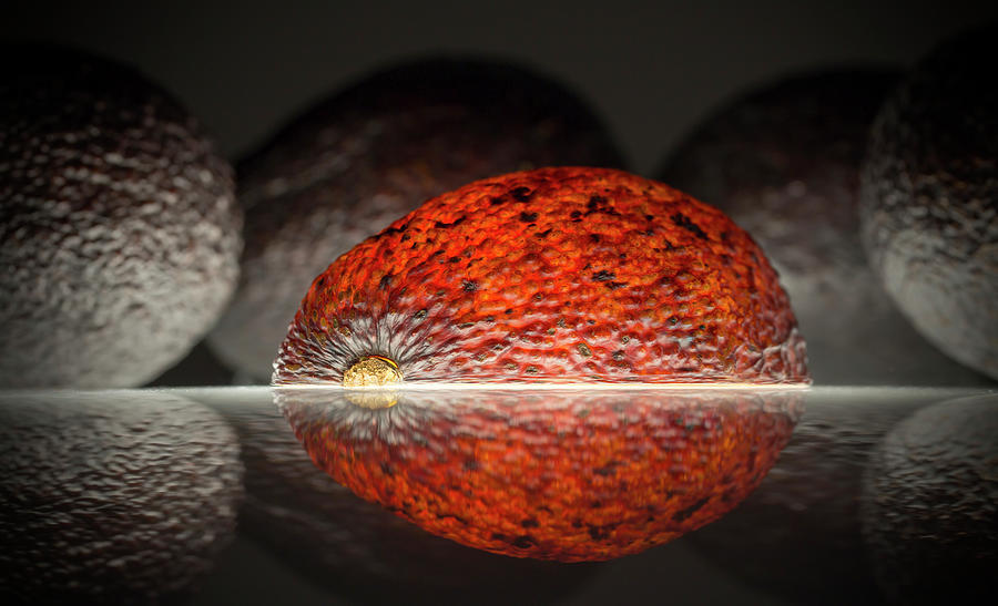 Fruit Photograph - Avocado (overripe) by Wieteke De Kogel