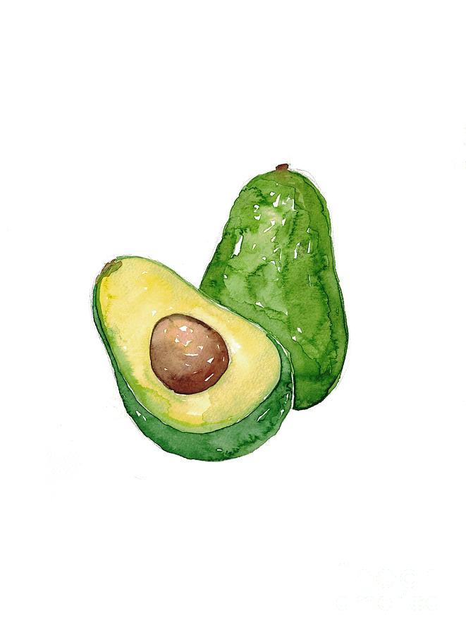 Avocado watercolor art Painting by Maryna Salagub