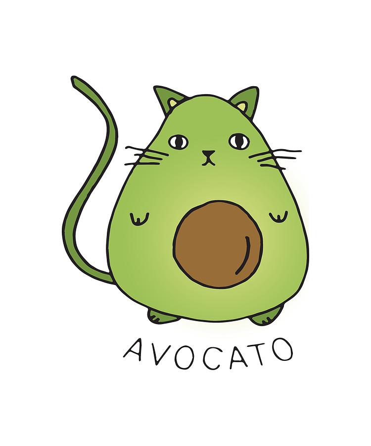 cat avocado