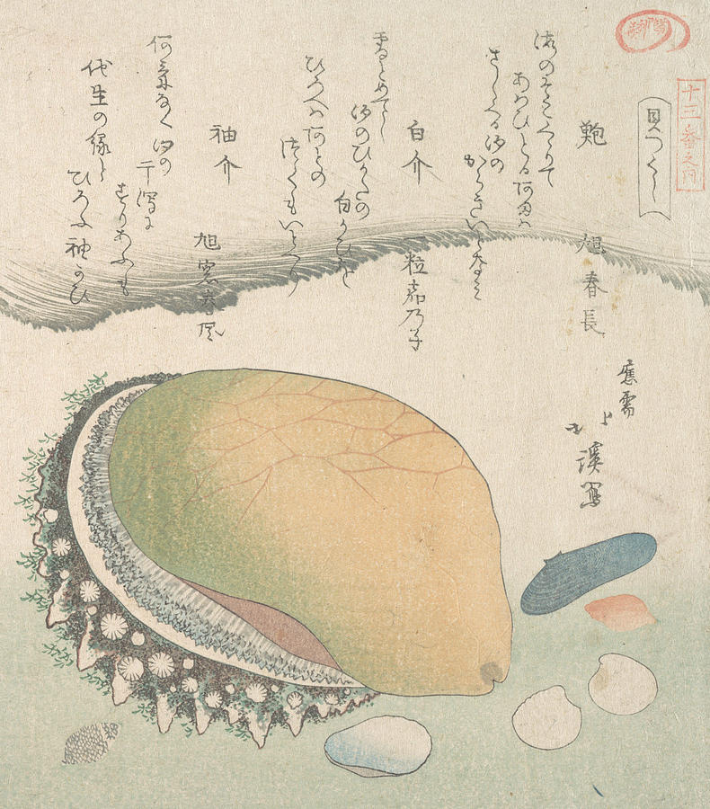 Awabi and Various Shells Relief by Totoya Hokkei
