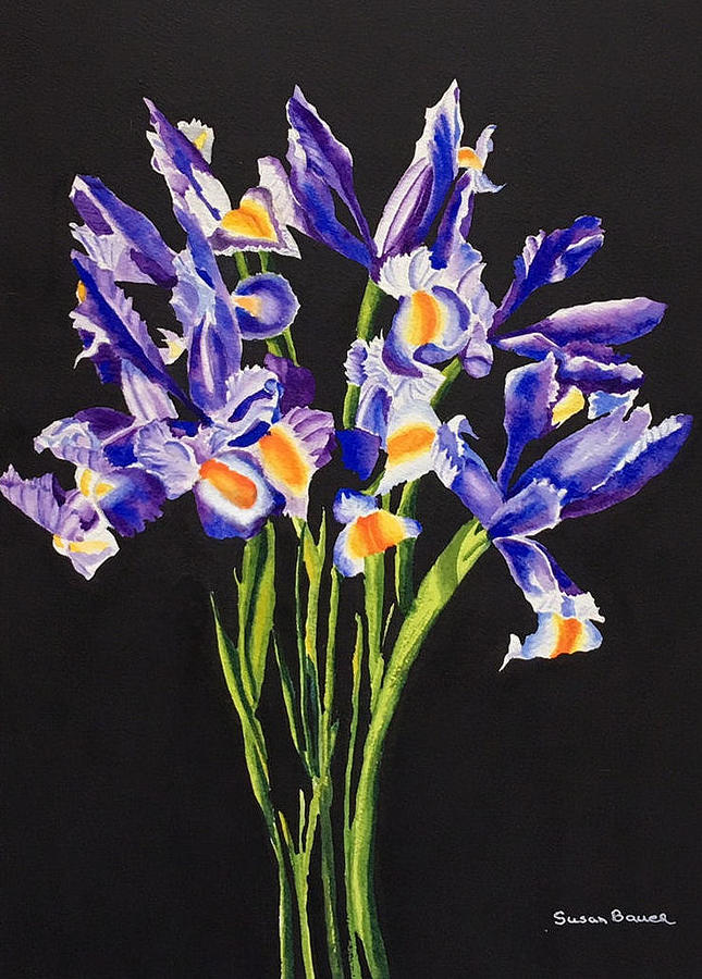 Irises Painting by Susan Bauer