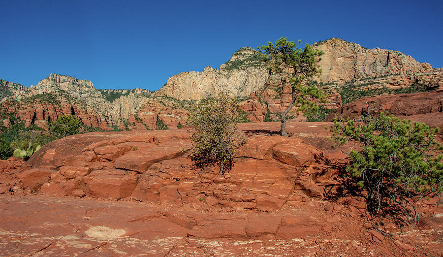 Awesome Arizona Rocks Photograph by Marcy Wielfaert