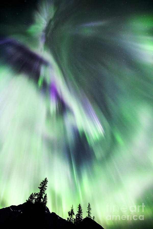 Awesome Aurora in the canadian sky Photograph by Matteo Colombo
