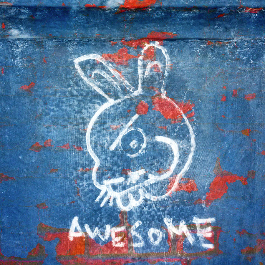 Rabbit Photograph - Awesome Bunny Graffiti by Carol Leigh