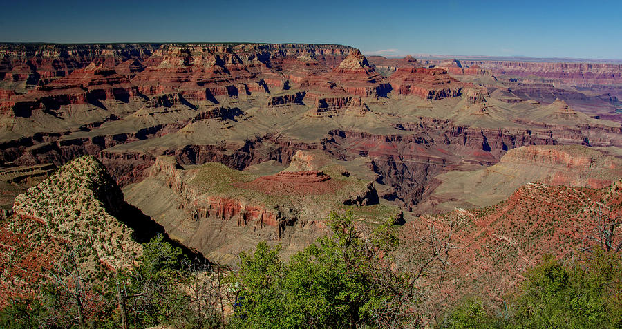 Awesome Canyon Beauty Photograph by Marcy Wielfaert
