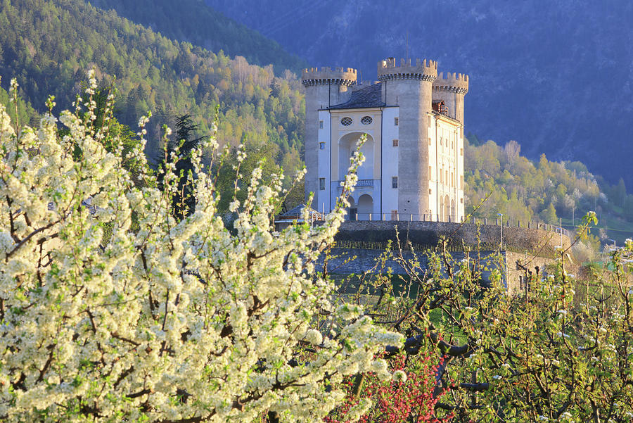 Aymavilles Castle In Italy Digital Art by Davide Carlo Cenadelli