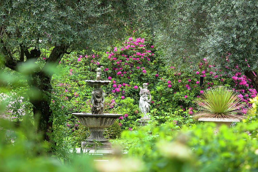 Azaleas In Garden, Italy Digital Art by Ferruccio Carassale