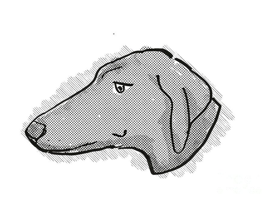 Azawakh Dog Breed Cartoon Retro Drawing Digital Art