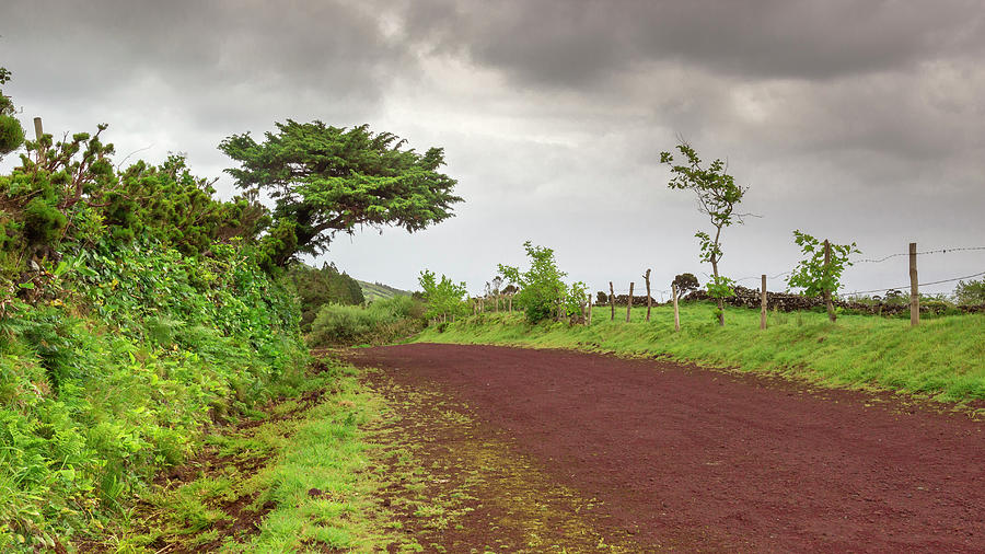 Azorean landscape by Edgar Laureano Azorean landscape by Edgar Laureano