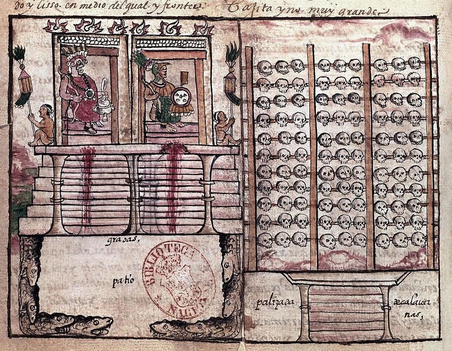 Aztec sacrificial altar andTzompantli with skulls, miniature from a Spanish manuscript, 16th Century Drawing by Diego Duran -1537-1588-