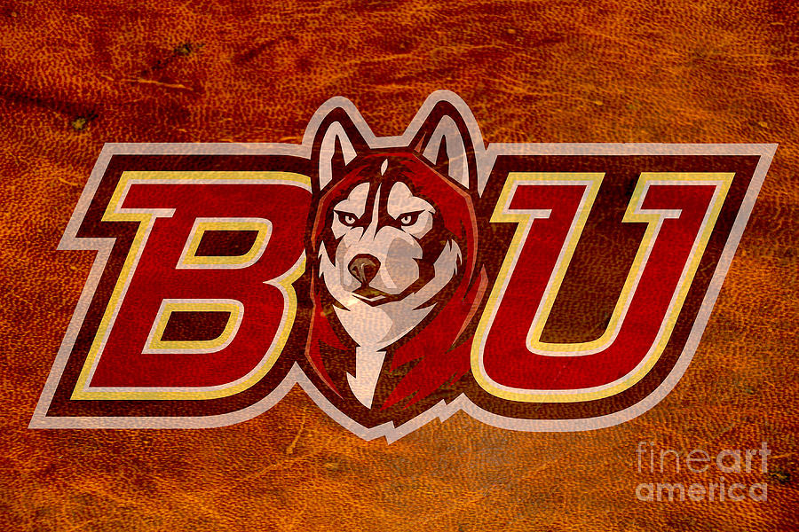 Bloomsburg university Huskies Digital Art by Steven Parker