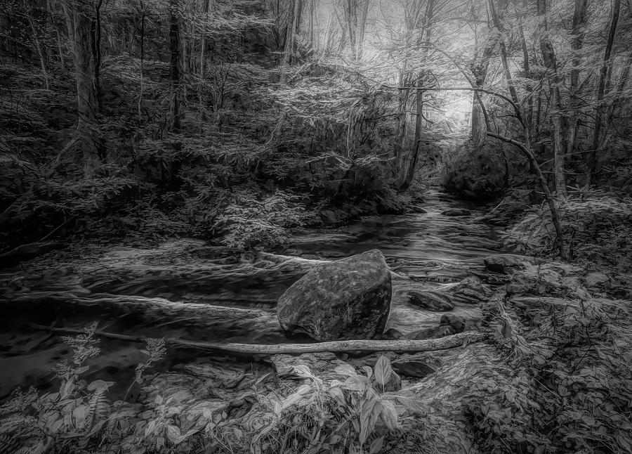 Babbling Brook Black and White Photograph by Judy Vincent
