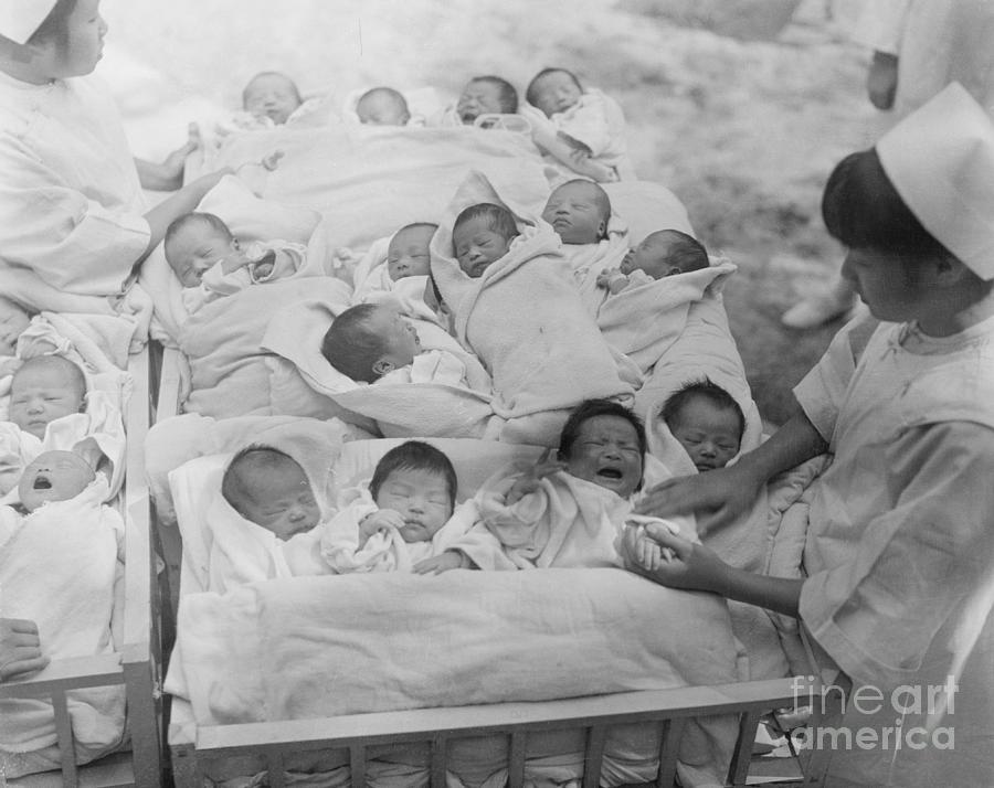 Babies Sharing Hospital Cribs Photograph by Bettmann