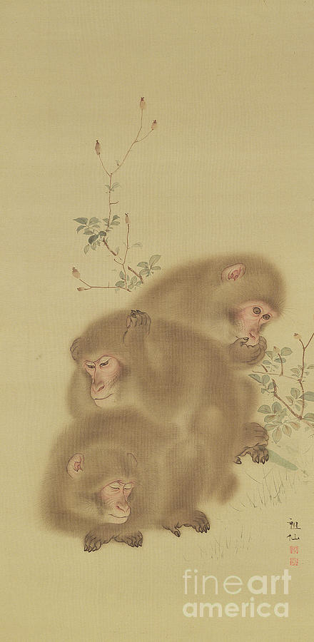 Animal Drawing - Baboon Family by Japanese School