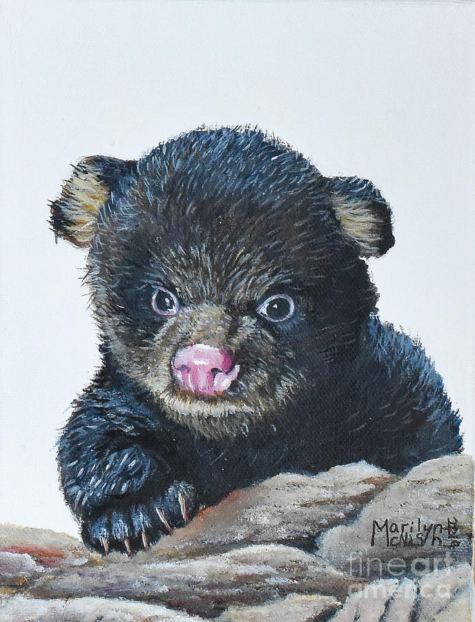 Baby Bear  Painting by Marilyn McNish