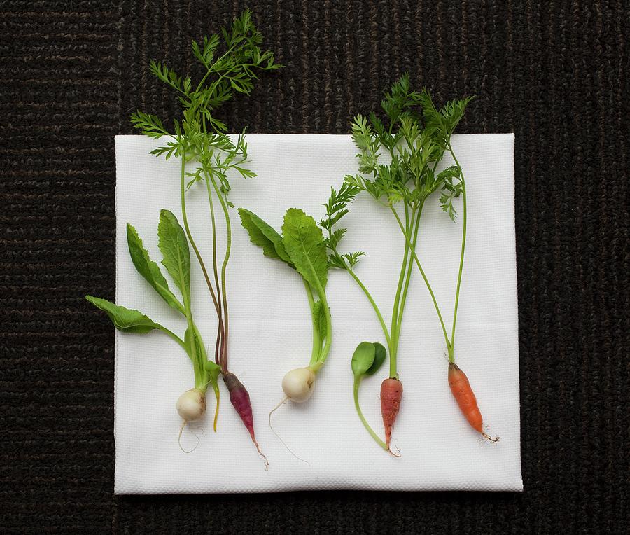 Baby Carrots And Turnips On A White Cloth Photograph by Rene Comet