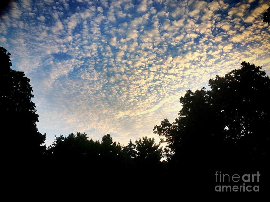Baby Clouds Photograph by Frank J Casella
