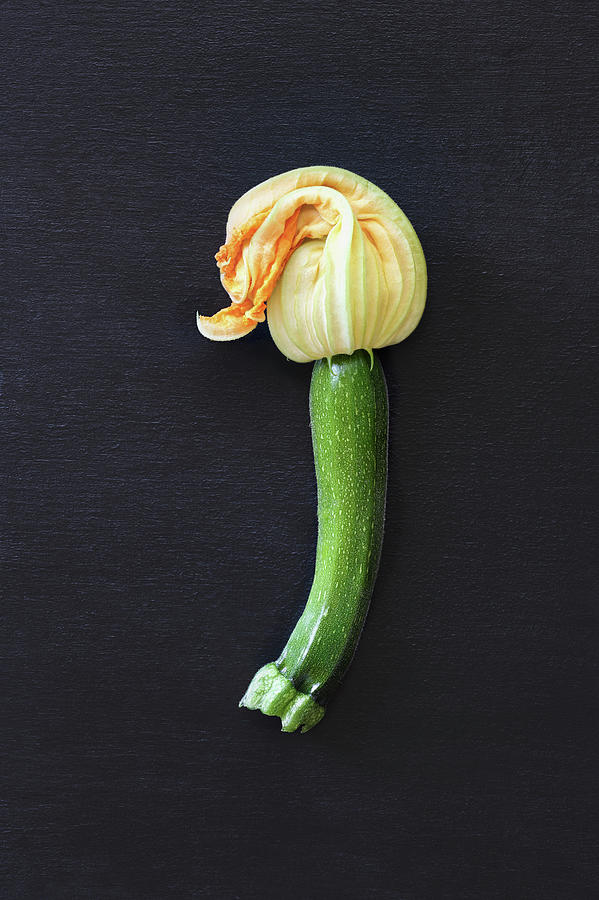 Baby Courgette Squash Blossom Photograph by Stephanie Frey