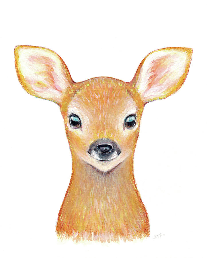 Baby Deer Painting - Baby Deer  by Theresa Stites