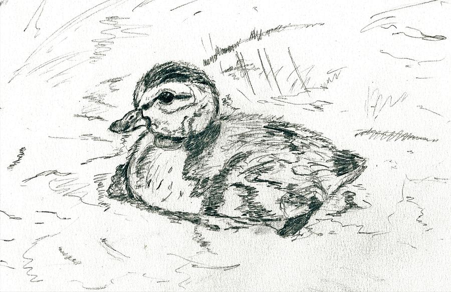 How TO Draw scenery of mother Duck With Ducklings Step By Step - YouTube