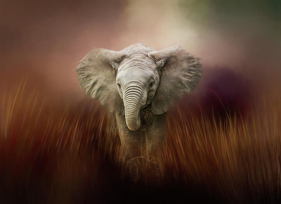 Baby Elephant Painted Digital Art by Terry Davis