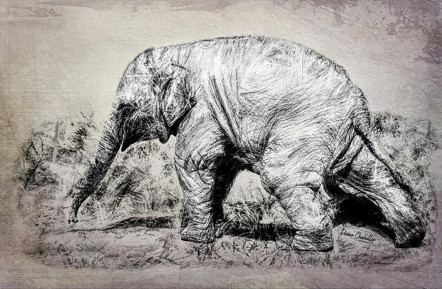 Baby Elephant Walk Digital Art by Diane Chandler