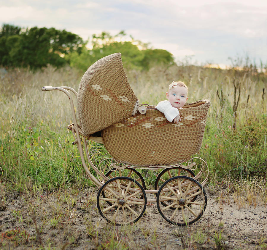 Nature Photograph - Baby Girl In Baby Buggy by Kari Layland