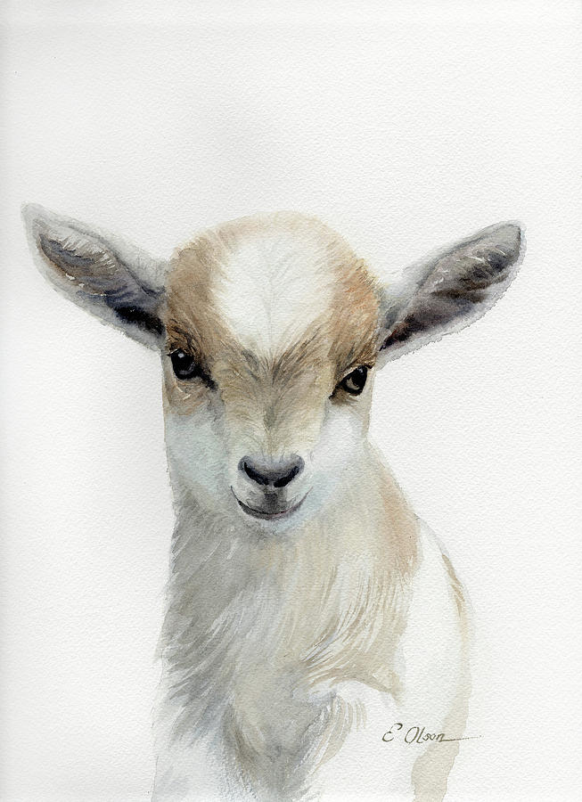 Baby Goat Painting by Emily Olson | Fine Art America