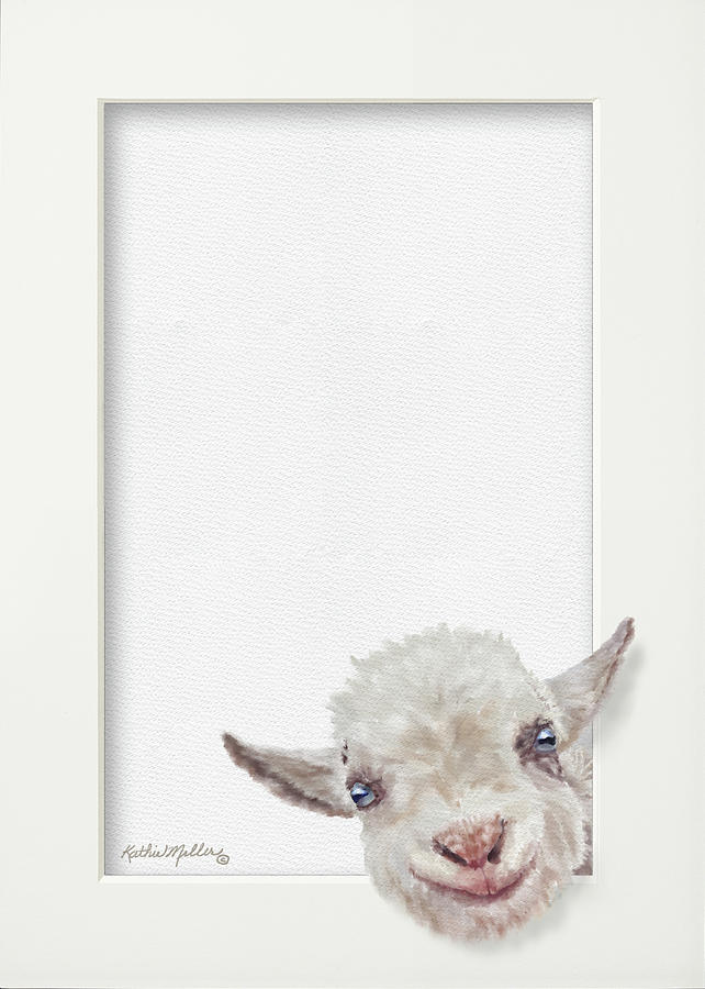 Baby Goat by Kathie Miller Baby Goat by Kathie Miller