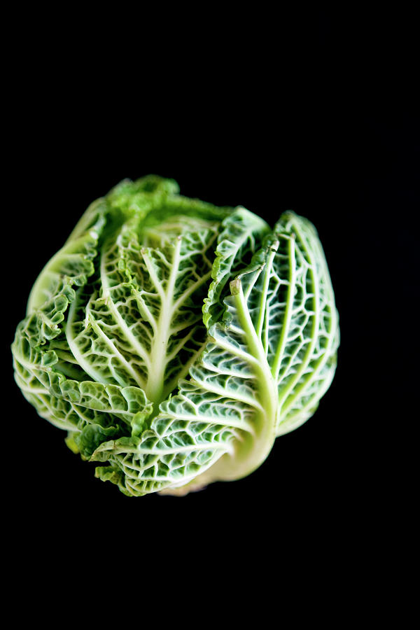 Baby Green Cabbage Photograph by Charity Burggraaf
