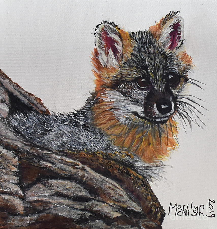 Baby Grey Fox Painting by Marilyn McNish