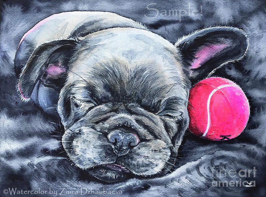 Baby Hank by Zaira Dzhaubaeva Baby Hank by Zaira Dzhaubaeva