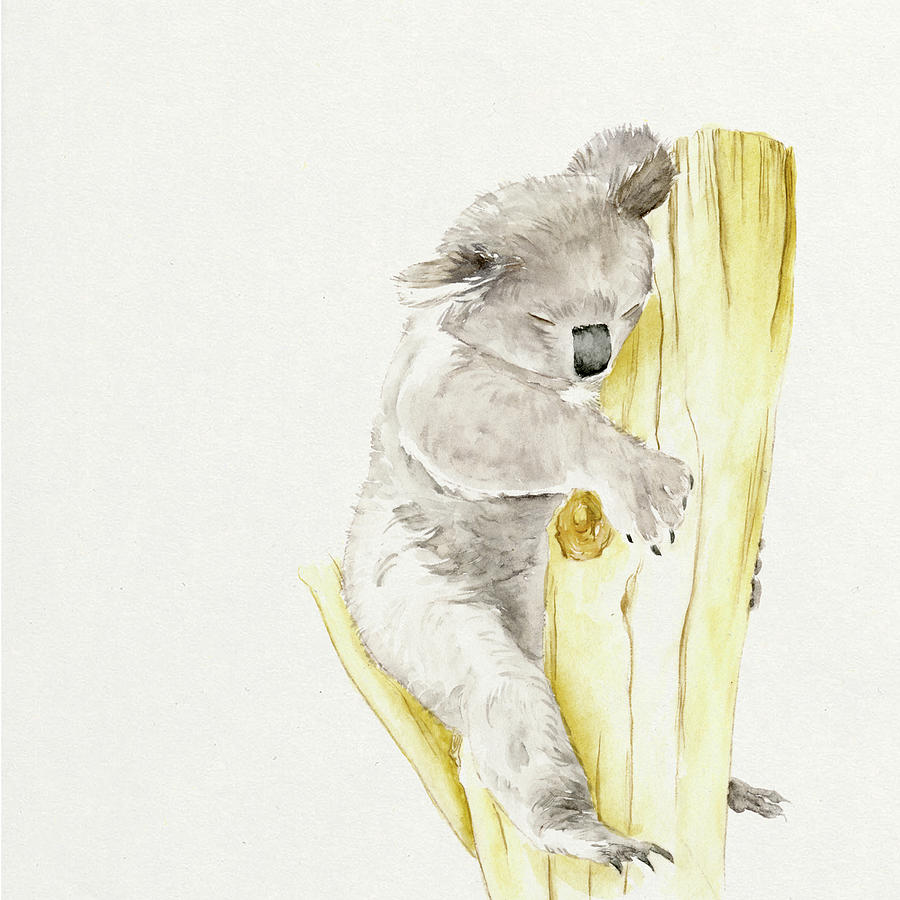 Animal Painting - Baby Koala I by Melissa Wang