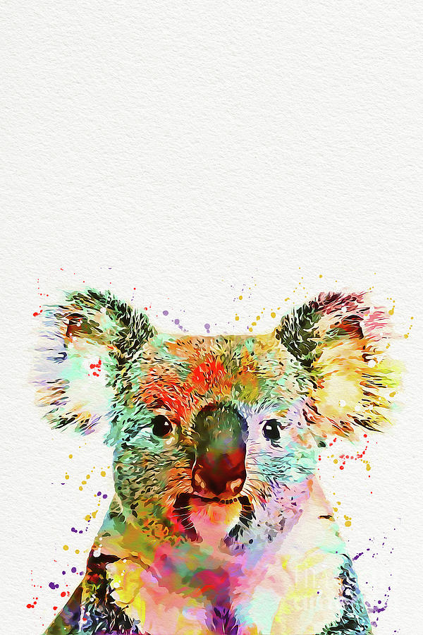 Abstract Drawing - Baby Koala Watercolor by Nikolay Radkov