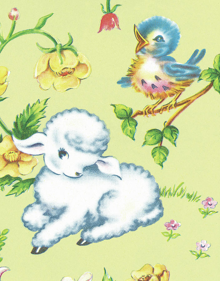 Bluebird Drawing - Baby lamb by CSA Images