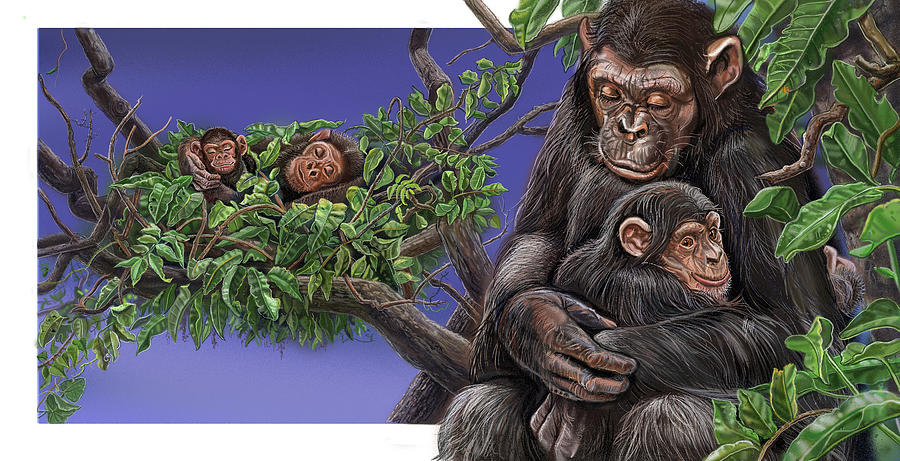 Animal Painting - Baby On Board Spread 16 Chimpanzee by Cathy Morrison Illustrates