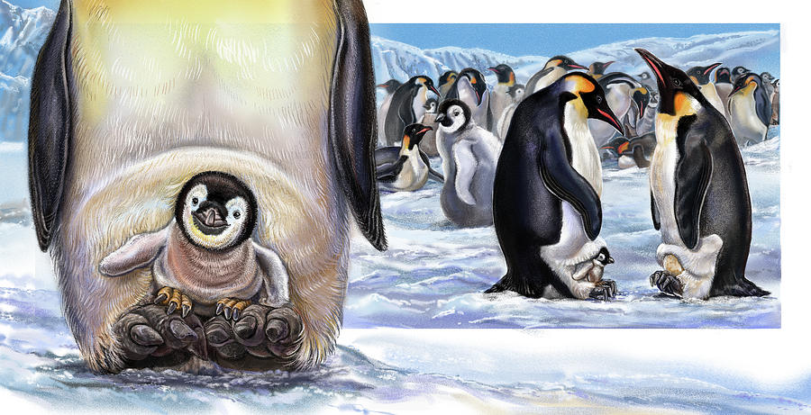 Animal Painting - Baby On Board Spread 22 Penguins by Cathy Morrison Illustrates