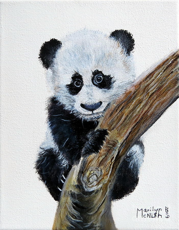 Baby Panda Painting by Marilyn McNish